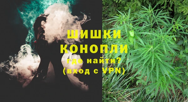 ГАЛЛЮЦИНОГЕННЫЕ ГРИБЫ Алексин