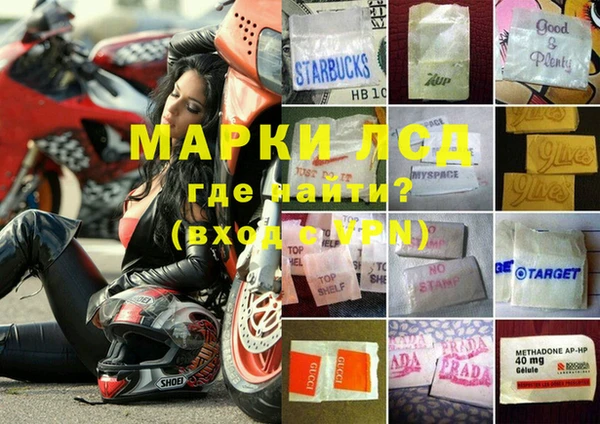 ГАЛЛЮЦИНОГЕННЫЕ ГРИБЫ Алексин